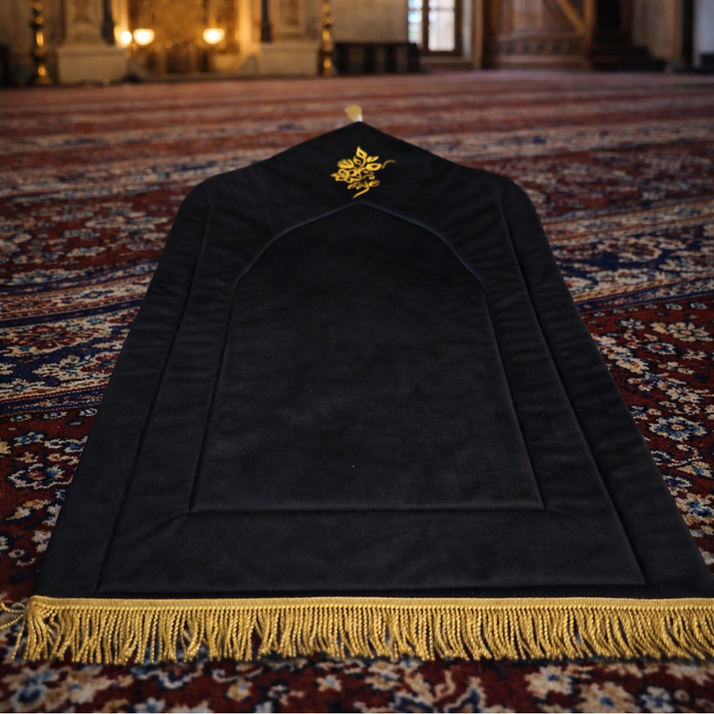 Spužvasta serdžada od pliša