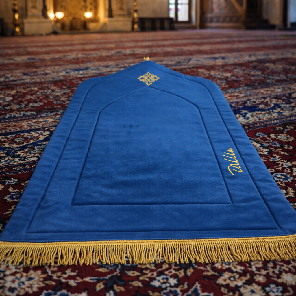 Spužvasta serdžada od pliša